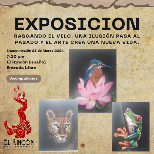 Exposicion